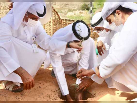 وزير التغير المناخي والبيئة يشارك في فعاليات أسبوع التشجير بمدينة العين