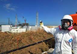UN Finds 'No Adverse Health Effects' From Japan's Fukushima Disaster