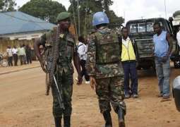 At Least 12 Civilians Killed in Militant Attack on Congolese Village - Reports