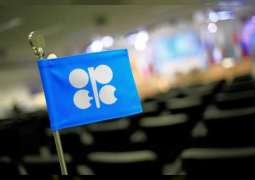 OPEC daily basket price stood at $66.76 a barrel Wednesday