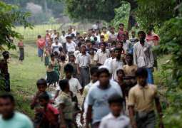 US Starts Review of Whether Myanmar Crimes Against Rohingya Constitute Genocide - Official