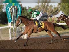 مضمار جبل علي يستضيف السباق العاشر للخيول العربية الأصيلة والمهجنة