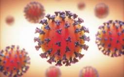 New Coronavirus Strain Discovered in French Brittany Region - Health Ministry