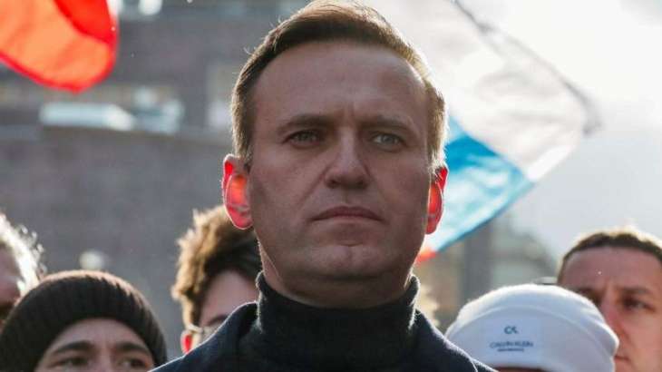 UN Special Rapporteur Says Russia Likely Responsible for Navalny's Alleged Poisoning