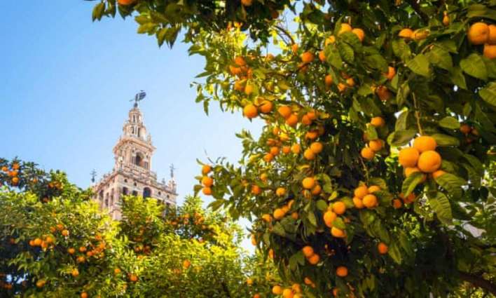 Spanish Utility Turning Oranges Into Green Energy