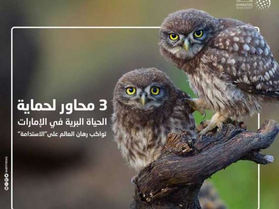 3 محاور لحماية الحياة البرية في الإمارات تواكب رهان العالم على"الاستدامة"
