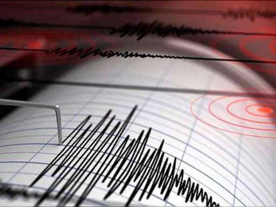 رصد زلزال بقوة 7.3 درجة على ساحل نيوزلندا