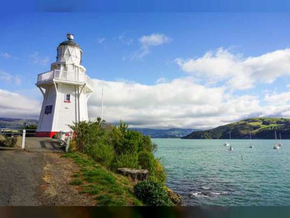نيوزيلندا تخفض مستوى التحذير من "تسونامي" بعد سلسلة زلازل
