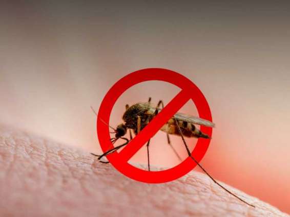 Abu Dhabi intensifies mosquito control measures ahead of breeding season