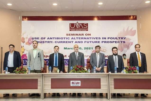 UVAS working on finding antibiotics alternatives in poultry, Vice-Chancellor tells seminar