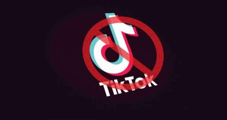 PHC bans TikTok for spreading immoral content in Pakistan