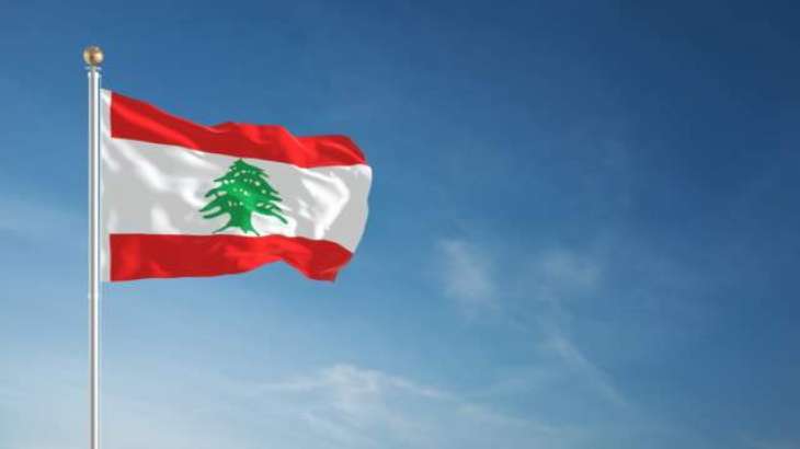 Lebanese Crisis Helped Popularize Cheaper, Local Goods - Foodstuff Importers Syndicate