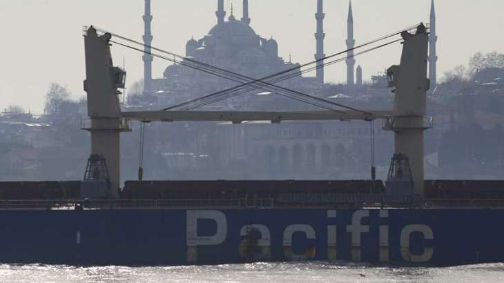 LNA Allows Turkish Merchant Ships to Enter Ports in Eastern Libya - Source