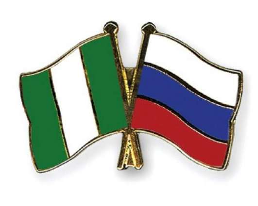 Nigeria Wants Russian Investors to Join National Projects - Private Sector Alliance