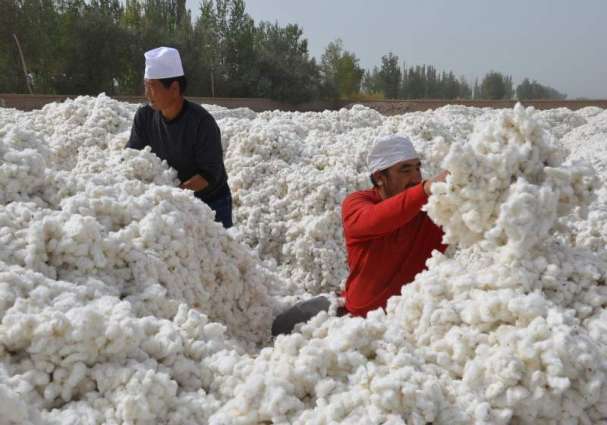 FILA China Vows Continued Use of Xinjiang Cotton, Begins Withdraw from BCI Amid Outcry