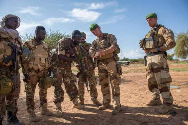 EU May Send Mission to Mozambique to Train Local Military - Portuguese Minister