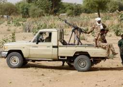 At Least 18 People Killed, Over 50 Injured in Western Sudan Clashes - Doctors' Committee