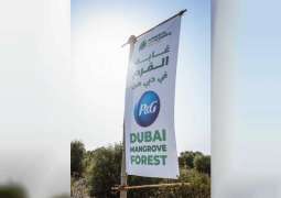 Emirates Marine Environmental Group, Procter & Gamble launch P&G Dubai Mangrove Forest