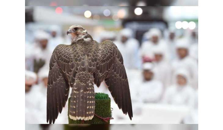 ADIHEX contributes to promoting captive-bred falcons