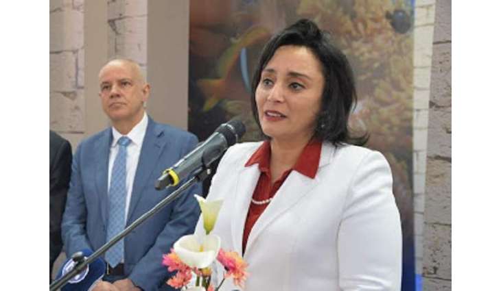 Egypt Ready to Offer Russians Various Types of Recreation - Deputy Minister