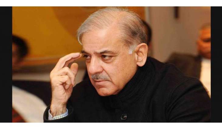 NA-249: Shehbaz Sharif asks people to vote responsibility