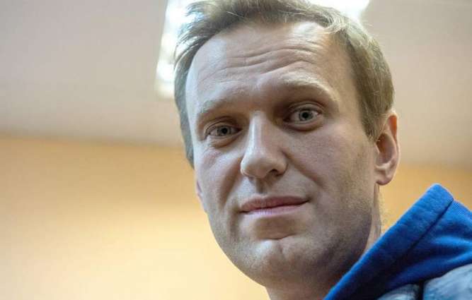 Vyshinsky Says Navalny's Prison Conditions 'Ascetic' But Satisfactory