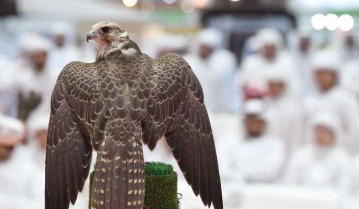 ADIHEX contributes to promoting captive-bred falcons