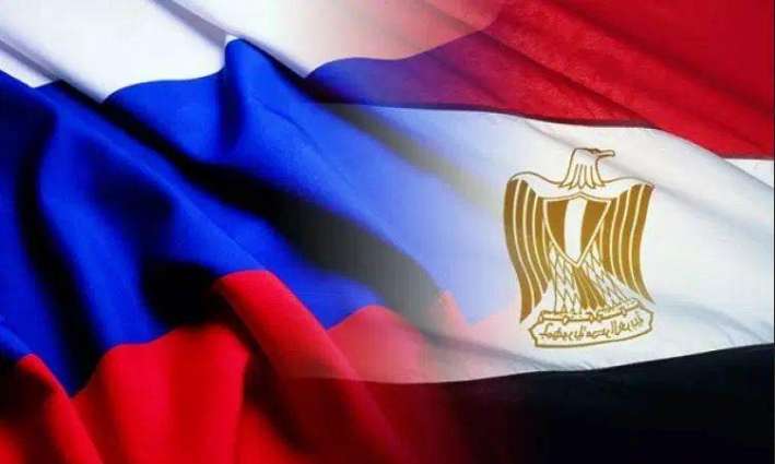 Egypt, Russia Will Soon Agree on Date of 2+2 Consultations - Egyptian Foreign Minister