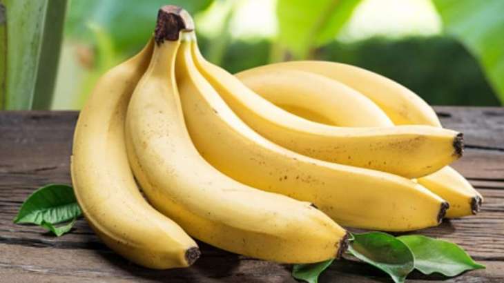 Ecuador to Continue Banana Exports As No Fungus Found in Country - Trade Commissioner