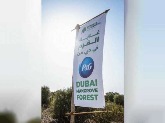 Emirates Marine Environmental Group, Procter & Gamble launch P&G Dubai Mangrove Forest