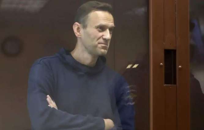 Navalny Does Not Need Treatment Outside Penitentiary System - Russian Ombudswoman