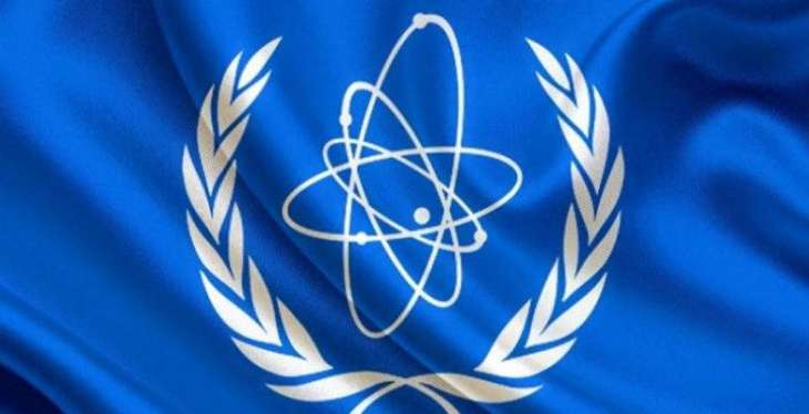 IAEA Vows to Continue Decommissioning Chernobyl NPP 35 Years After Disaster