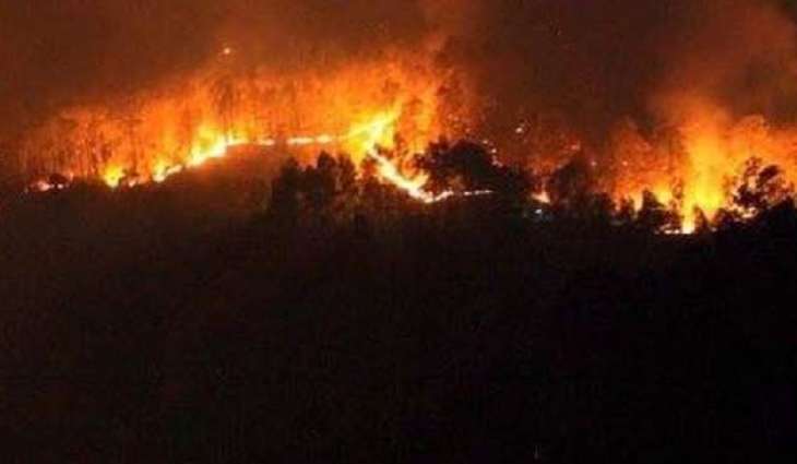 Cuba Battling Large Fire That Engulfed Parts of UNESCO-Listed National Park