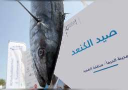 انطلاق بطولة الظفرة الكبرى لصيد الكنعد للرجال والنساء 14 مايو 