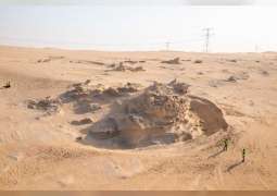 "بيئة أبوظبي" تواصل تطوير وحماية موقع الكثبان الرملية الأحفورية في الوثبة