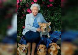 Puppy Gifted to Queen Elizabeth During Her Husband's Illness Dies - Reports
