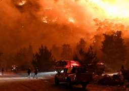 Greek Fire Services Localize Massive Wildfire West of Athens
