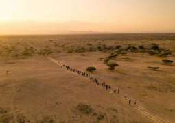 Pandemic Border Closures Severely Hit Over 300,000 Migrants in East, Horn of Africa - IOM