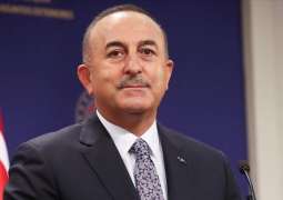 Turkey's Cavusoglu to Participate in Virtual Meeting of NATO Foreign Ministers - Ankara