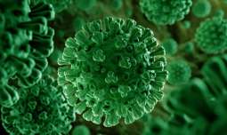 US Expert Says Establishing COVID-19 Origin 'Critical' to Prevent Future Pandemics