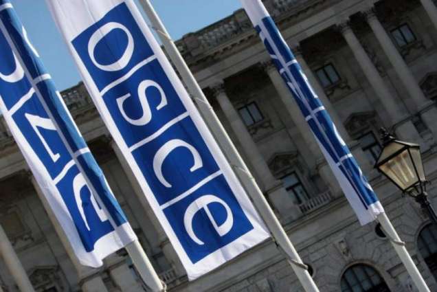 OSCE Should React to West Imposing Digital Censorship Via IT Giants - Russian Deputy Envoy