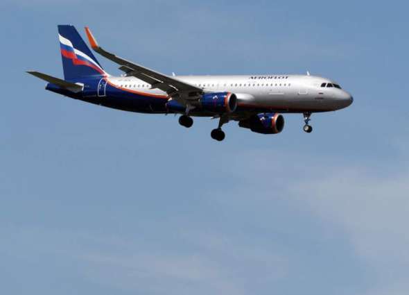 Egypt, Russia Moving Ahead With Flight Resumption Plans - Ambassador