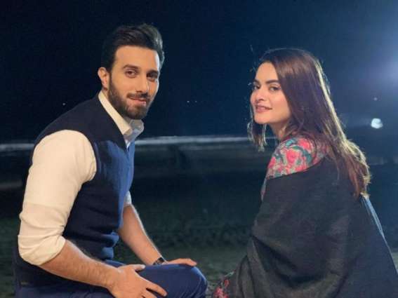 Minal Khan and Ahsan Ikram stun fans on social media