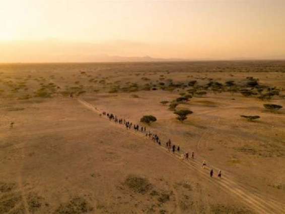 Pandemic Border Closures Severely Hit Over 300,000 Migrants in East, Horn of Africa - IOM