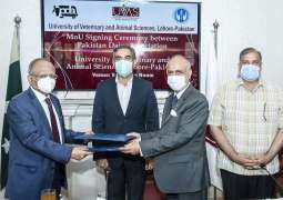UVAS signs MoU with Pakistan Dairy Association to train investors, livestock/dairy farmers