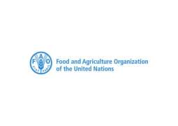 Global food prices rose at rapid pace in May: FAO