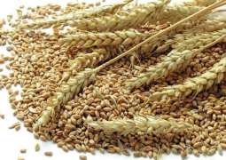 Syria to Import 1Mln Tonnes of Russian Wheat This Year - Economy Minister