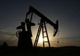 US Energy Agency Expects Crude Oil Prices to Stabilize, Decline as Production Increases