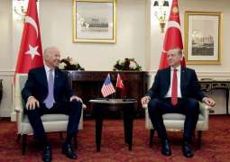 Biden, Erdogan Discussed Potential for Turkey to Guard Kabul Airport - Senior US Official