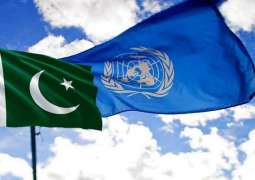 باکستان ترحب بدعوة الأمم المتحدة لتعزیز جھود مکافحة ظاھرة الاسلاموفوبیا
